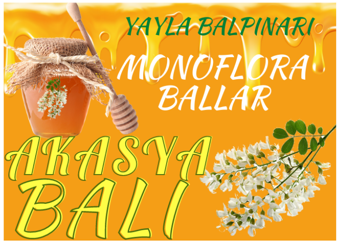 AKASYA BALI NEDİR?