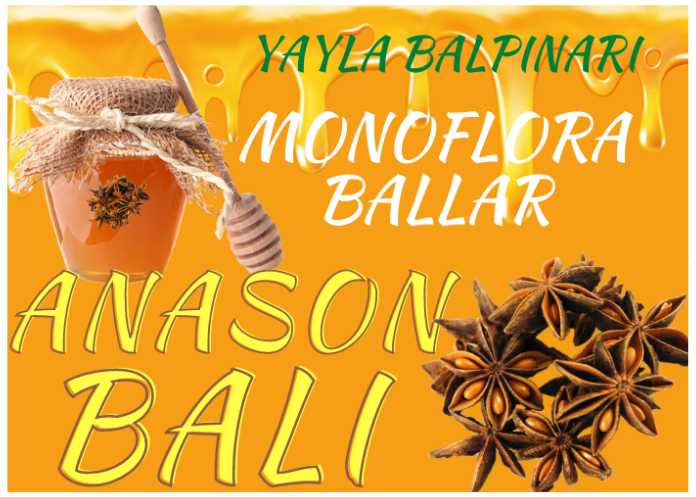 ANASON BALI NEDİR?