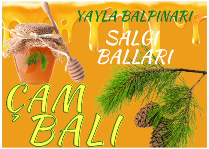 ÇAM BALI NEDİR?
