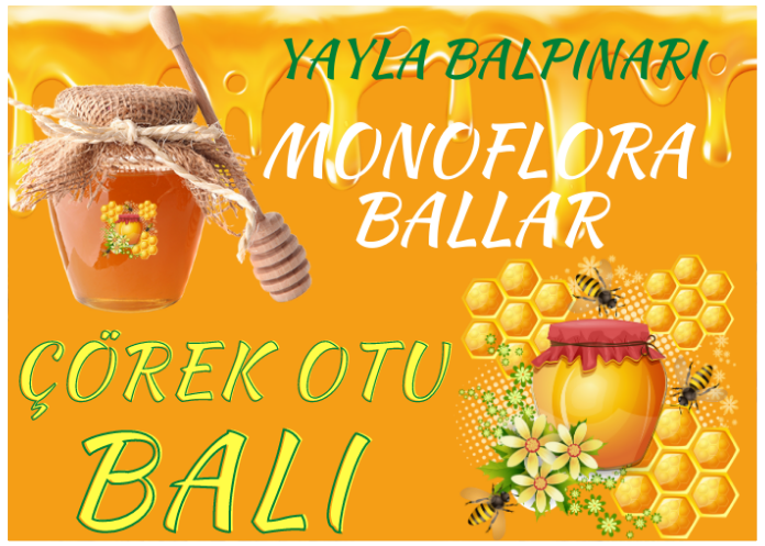 ÇÖREK OTU BALI NEDİR?