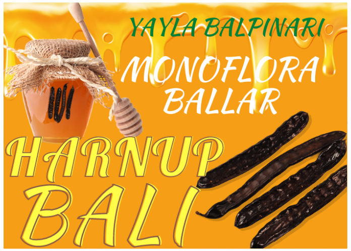 HARNUP BALI NEDİR?