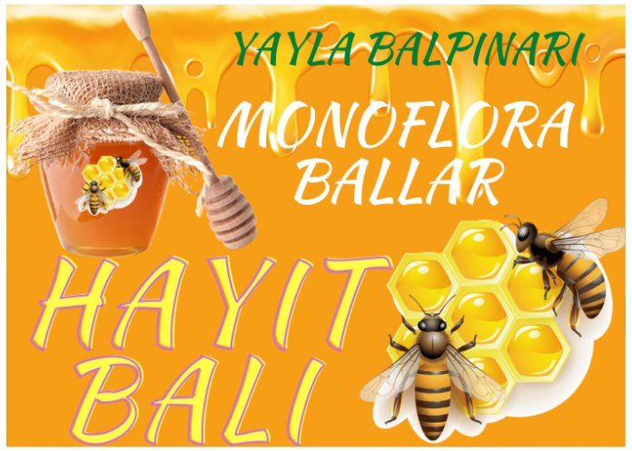 HAYIT BALI NEDİR?