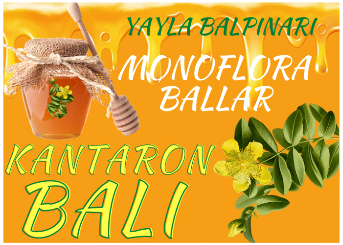 KANTARON BALI NEDİR?