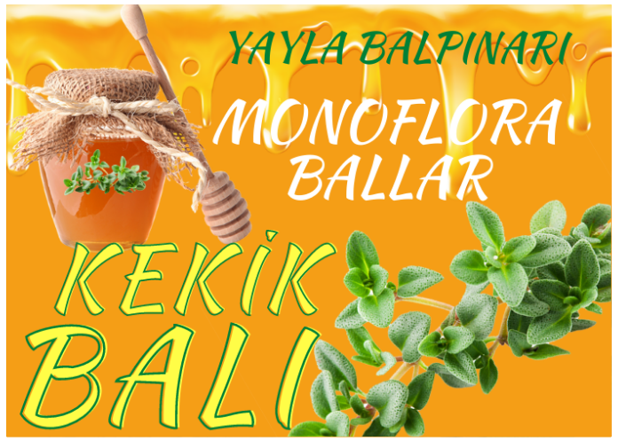KEKİK BALI NEDİR?