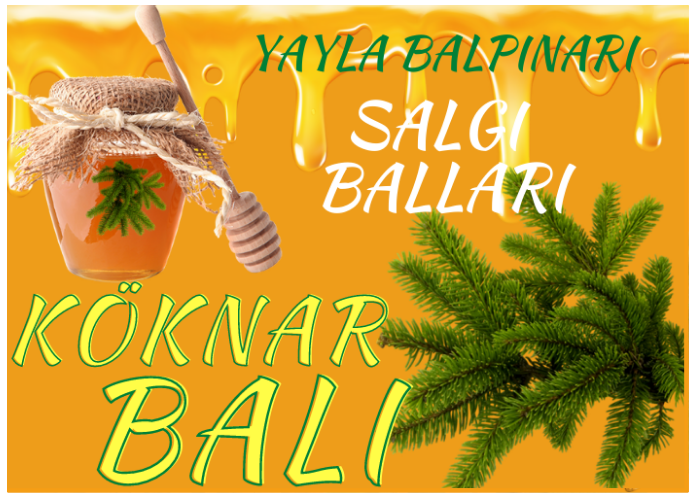 KÖKNAR BALI NEDİR?