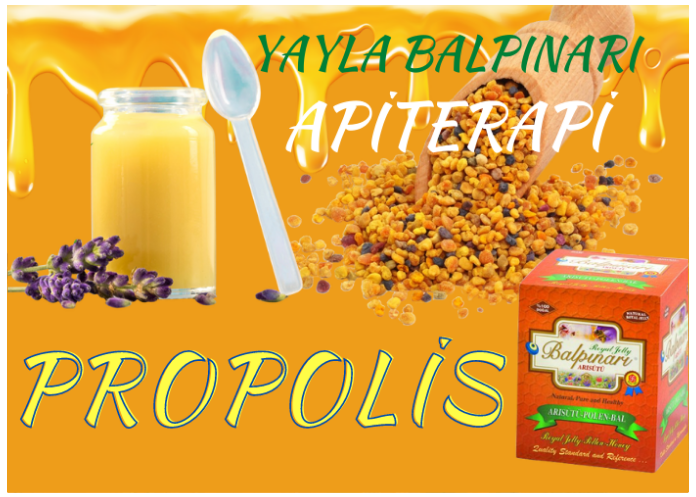 PROPOLİS NEDİR?